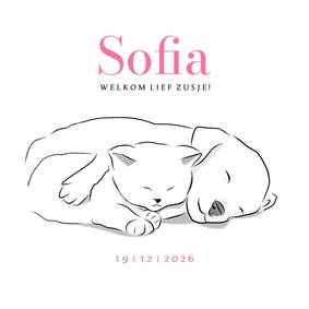 Lief geboortekaartje meisje tweede kind met kitten en puppy