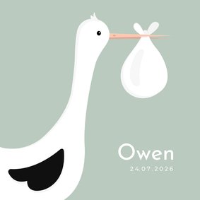 Lief geboortekaartje met ooievaar en baby jongen 