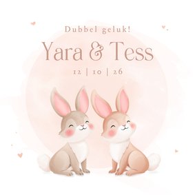 Lief geboortekaartje tweeling pastel illustratie konijntjes