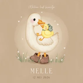 Lief geboortekaartje voor een broertje ganzen in het gras