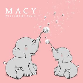 Lief geboortekaartje zusje met olifantjes en paardebloem