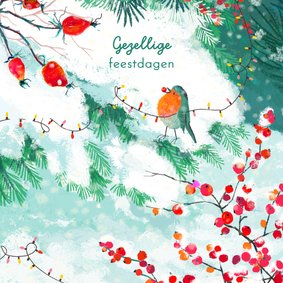 Lief kerstkaart met roodborst en kerstlampjes
