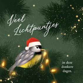 Lief kerstkaartje met vogeltje en lichtpuntjes