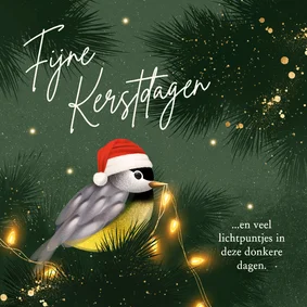 Lief kerstkaartje met vogeltje en lichtpuntjes