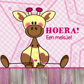 Lief meisje geboren giraffe roze