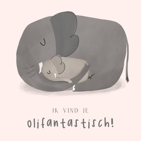 Lief moederdagkaartje met moederolifant en kind