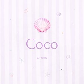 Lief pastel geboortekaartje met schelp en en streepjes