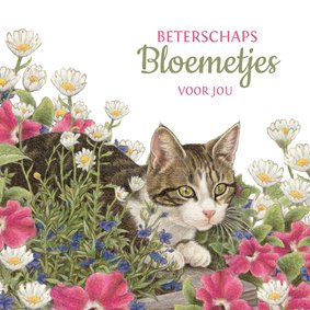 Lief poesje stuurt beterschapsbloemetjes