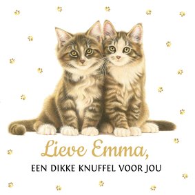 Lief sterkte kaartje 2 knuffelende Noorse boskat kittens 