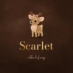 Lief winters geboortekaartje met hertje met roze strik