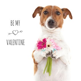 Liefde - Be my valentine - Boris