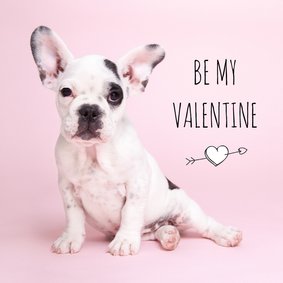 Liefde - Be my valentine - Franse Bulldog