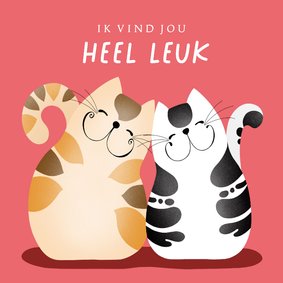 Liefde en vriendschap - twee katten knuffelen