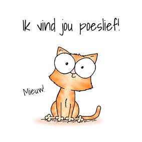 Liefde kaart kleine kitten - Ik vind jou poeslief