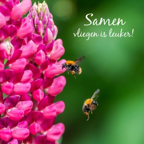 Liefde kaart vol kleurige bloemen en twee vliegende bijen