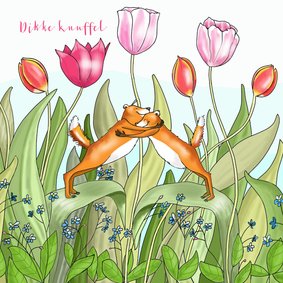 Liefde - knuffelende vosjes tussen de tulpen