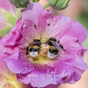 Liefdekaart met twee hommels samen in een bloem