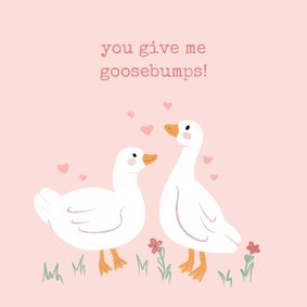 Liefdeskaartje in roze met gansjes you give me goosebumps