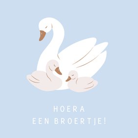 Lieve felicitatiekaart met baby zwaantjes voor een broertje