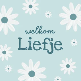 Lieve felicitatiekaart met madeliefjes voor geboorte zoon