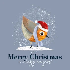 Lieve kerstkaart roodborstje kerstmuts illustratie sterren