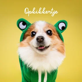 Lieve leuke beterschapskaart van hond in kikkerpakje