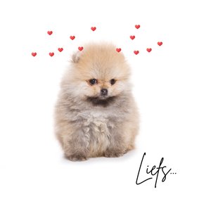 Lieve valentijnskaart met puppy