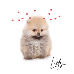 Lieve valentijnskaart met puppy