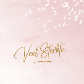 Luxe condoleance kaart vogels roze