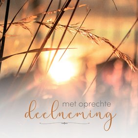 Met oprechte deelneming - ZO