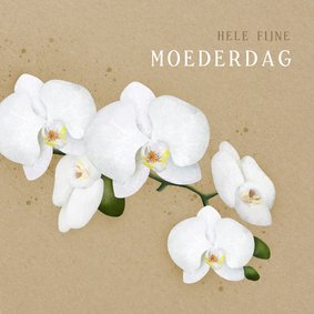 Modern klassieke moederdagkaart met illustratie van orchidee