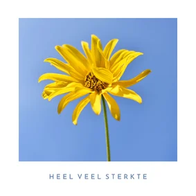 Moderne sterkte kaart met natuurfoto van zonnebloem