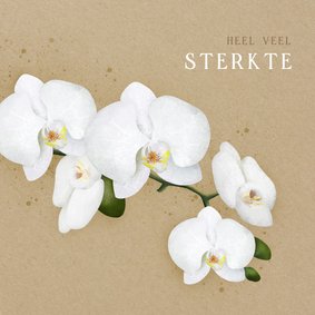 Moderne sterktekaart met een witte orchidee op kraft