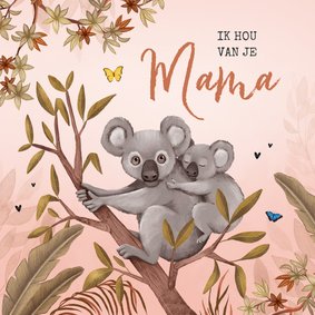 Moederdagkaart illustratie koala dieren jungle lief