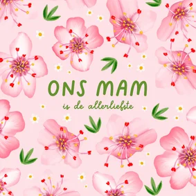Moederdagkaart in Brabants dialect 'ons mam'