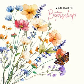 Mooie beterschapskaart met wilde bloemen en vlinders