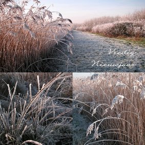 Nieuwjaar vredig winterse natuur