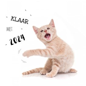 Nieuwjaarskaart kat kitten klaar met 2024