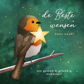 Nieuwjaarskaart met roodborstje en ster