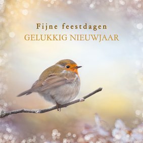 Nieuwjaarskaart roodborst