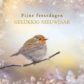 Nieuwjaarskaart roodborst