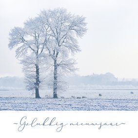 Nieuwjaarskaart sneeuwlandschap bomen