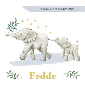 Olifantjes op avontuur op geboortekaartje broertje  