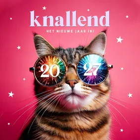 Originele nieuwjaarskaarten met kat met bril en sterren