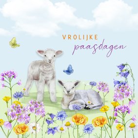 Paaskaart lammetjes wilde bloemen