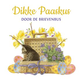 Paaskaart lief katje stuurt paaskus door de brievenbus