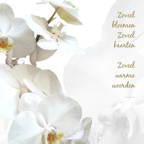 Rouw bedankt Orchidee - hemels wit