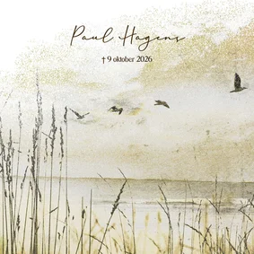 Rouwkaart duinen vogelvlucht