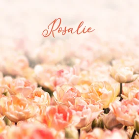 Rouwkaart foto oranje tulpen 