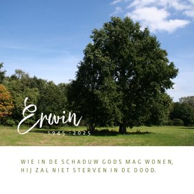 Rouwkaart met foto van boom in landschap